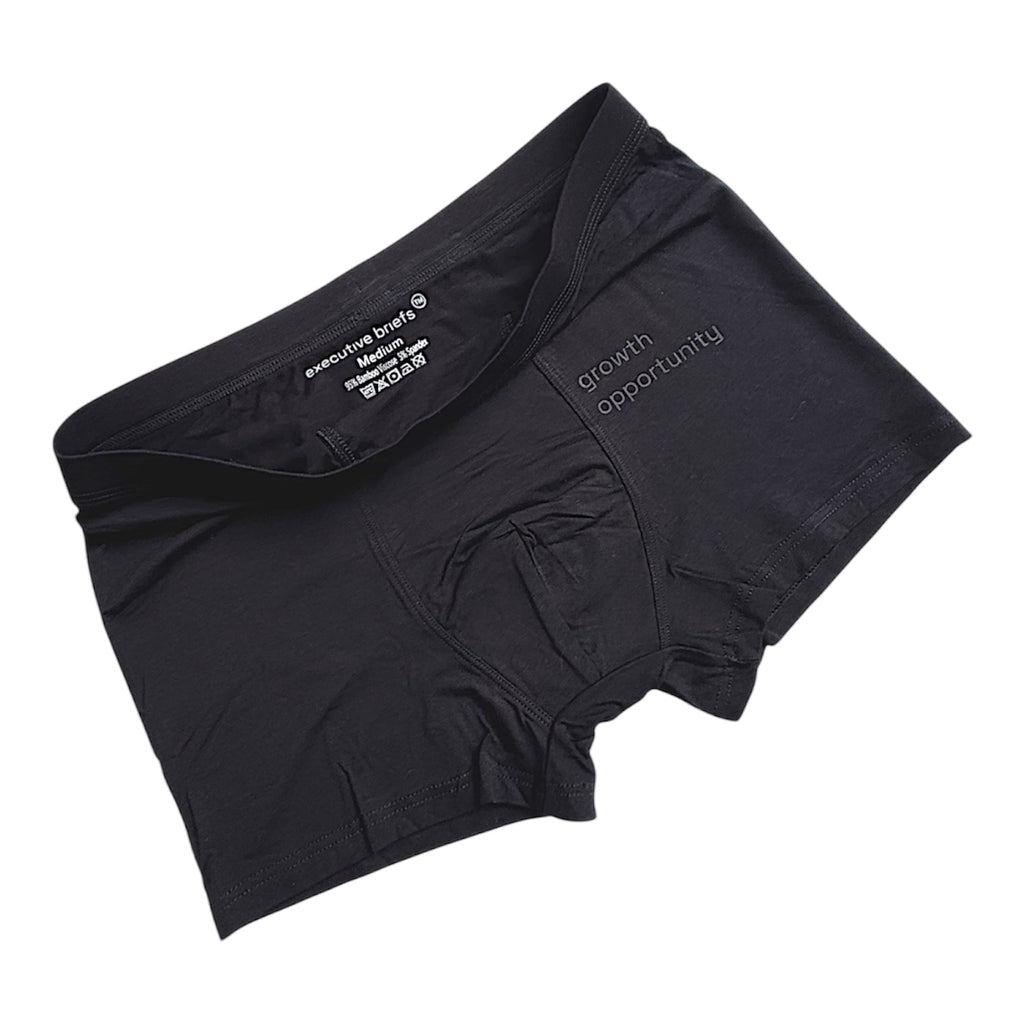 EXECUTIVE BRIEFS