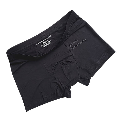 EXECUTIVE BRIEFS